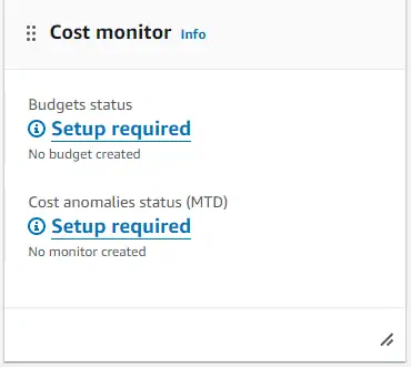 Budget and monitor before setup